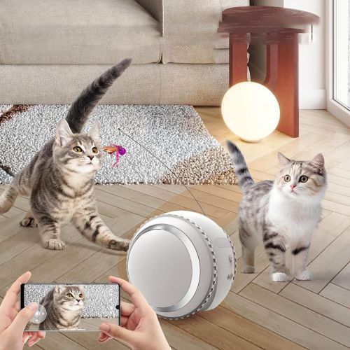 Camara Pet Ball y gatos jugando