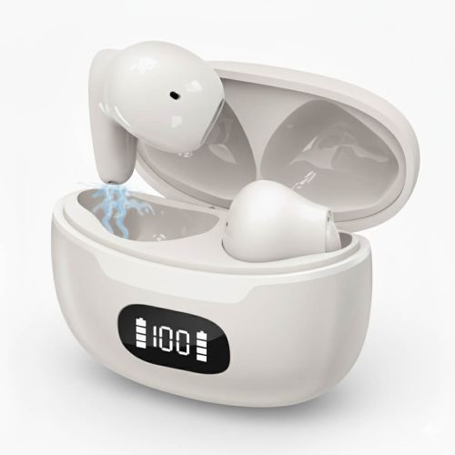 Asistente Auditivo D29 Pro DPS Ear Buds en su cargador base al 100%